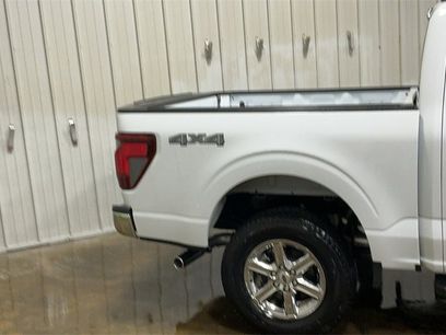 New 2025 Ford F150 XLT w/ Equipment Group 302A MID