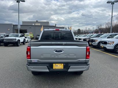 Certified 2023 Ford F150 XLT w/ Equipment Group 302A High