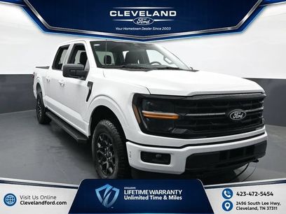 Used 2025 Ford F150 XLT w/ Equipment Group 301A Standard