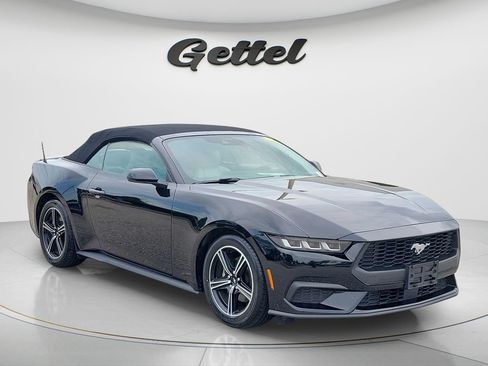 Used 2024 Ford Mustang Premium RWD image 3