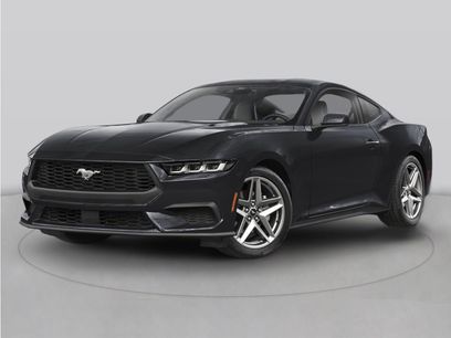 Used 2026 Ford Mustang Coupe w/ Mustang Nite Pony Package