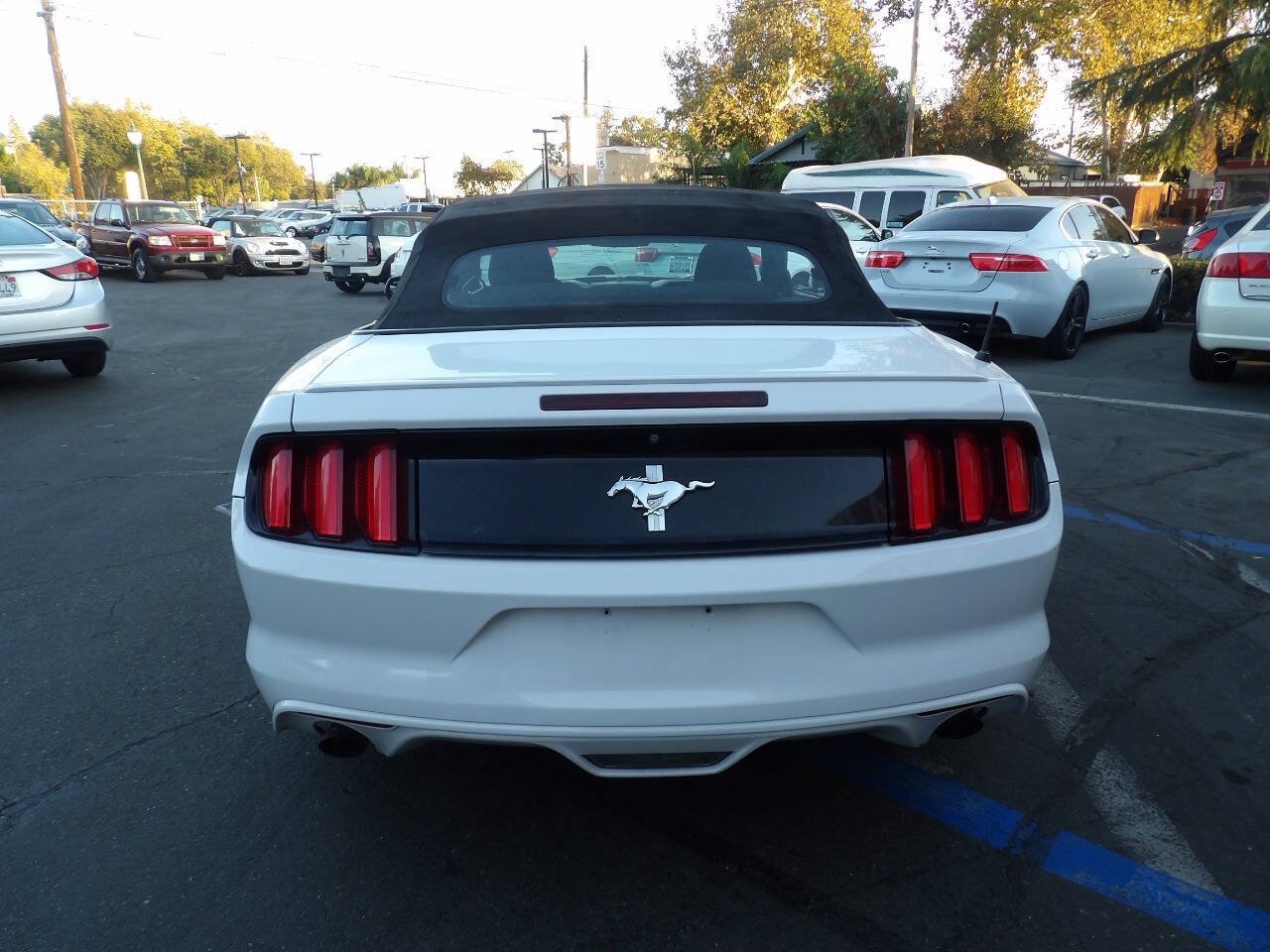 Used 2016 Ford Mustang Convertible w/ Equipment Group 051A RWD image 10