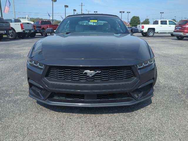 Used 2024 Ford Mustang Premium RWD image 4