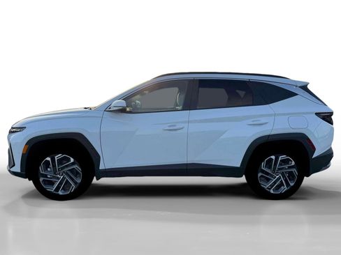 New 2026 Hyundai Tucson Limited AWD/4WD image 3