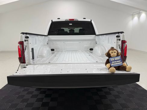 Used 2025 Ford F150 STX w/ Equipment Group 200A RWD image 9