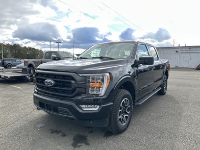 Certified 2023 Ford F150 XLT w/ Equipment Group 302A High