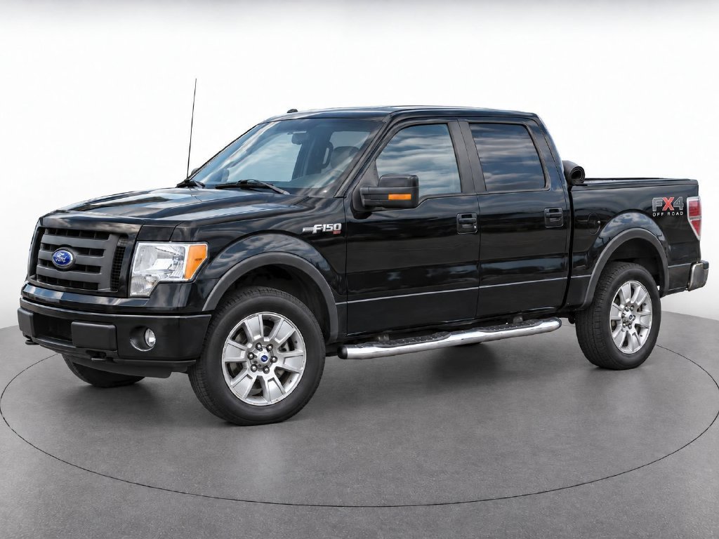 Used 2010 Ford F150 FX4 AWD/4WD image 1