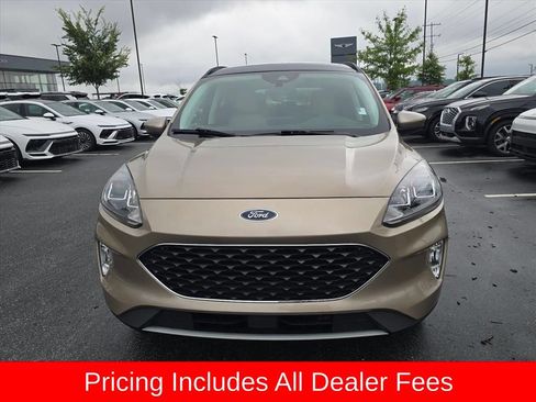 Used 2021 Ford Escape SEL w/ Technology Package FWD image 8