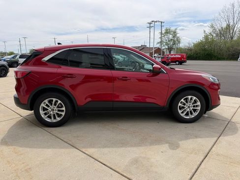 Used 2020 Ford Escape SE image 4
