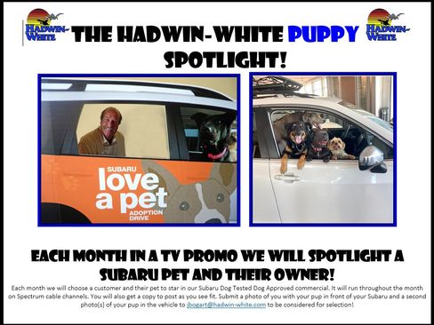 New 2026 Subaru Crosstrek 2.5i Limited AWD/4WD image 10