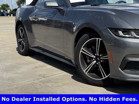 Used 2024 Ford Mustang Premium RWD image 3