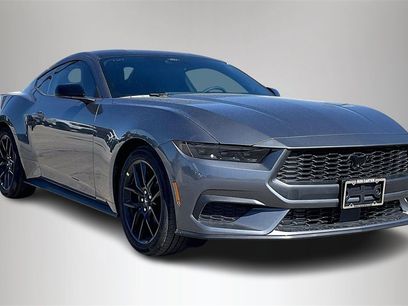 New 2026 Ford Mustang Coupe w/ Mustang Nite Pony Package