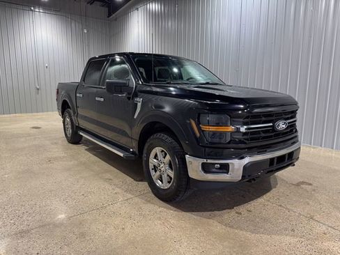 Used 2025 Ford F150 XLT w/ Equipment Group 301A Standard AWD/4WD image 8