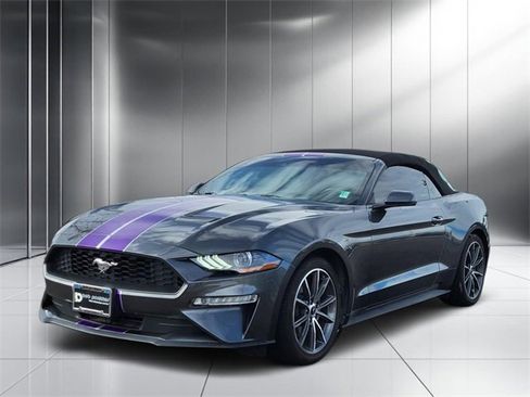 Used 2019 Ford Mustang Premium w/ Equipment Group 201A image 25