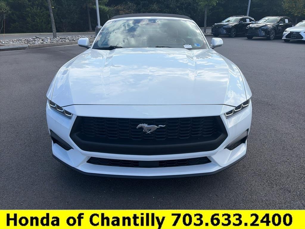 Used 2025 Ford Mustang Premium RWD image 2