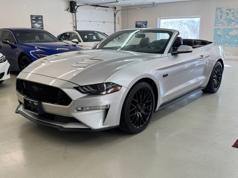 Used 2019 Ford Mustang GT Premium w/ Equipment Group 401A image 1