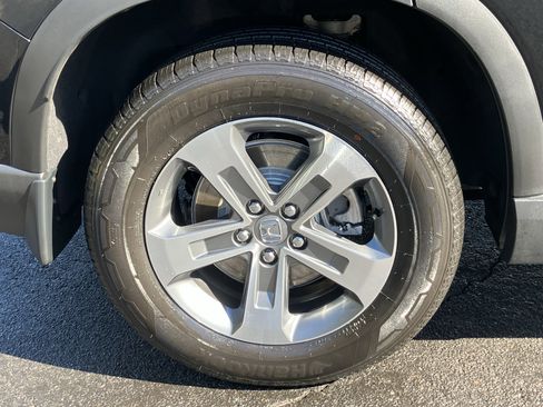 Certified 2025 Honda Pilot EX-L image 13