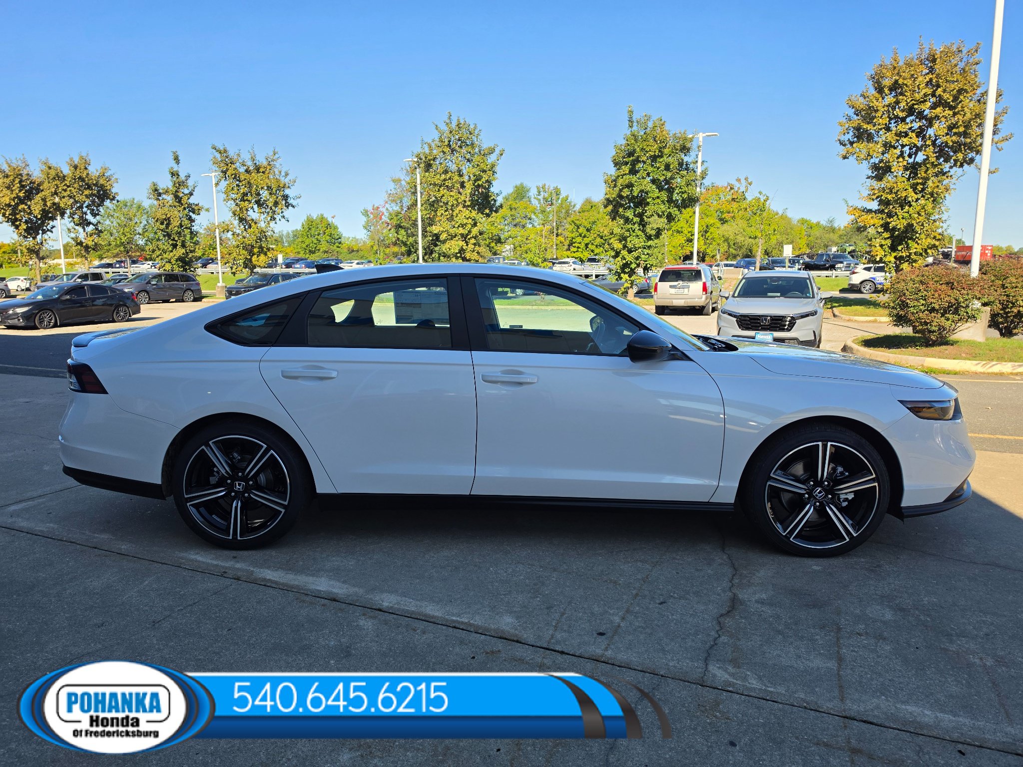 New 2026 Honda Accord Sport image 8