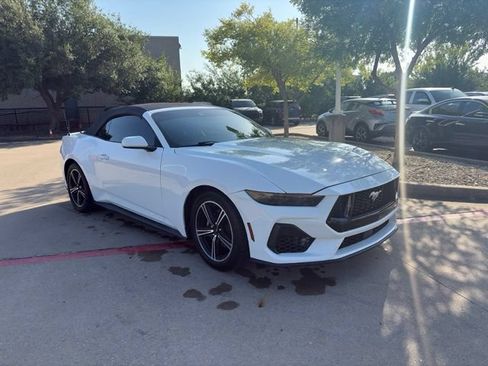 Used 2024 Ford Mustang Premium RWD image 3