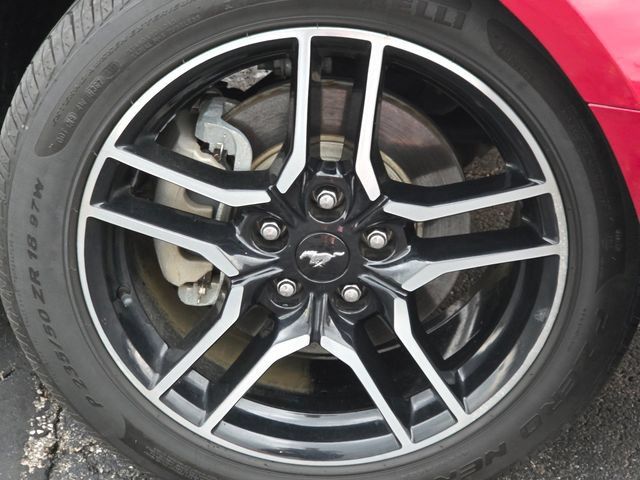 Used 2007 Ford Mustang GT Premium RWD image 5