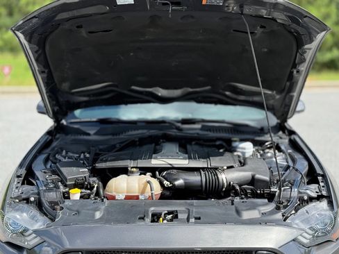 Used 2019 Ford Mustang GT w/ Equipment Group 301A RWD image 43