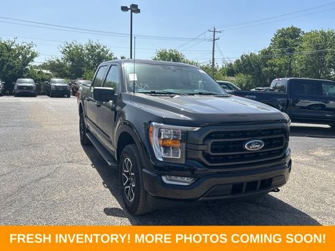 Used 2023 Ford F150 XLT w/ Equipment Group 302A High AWD/4WD image 1