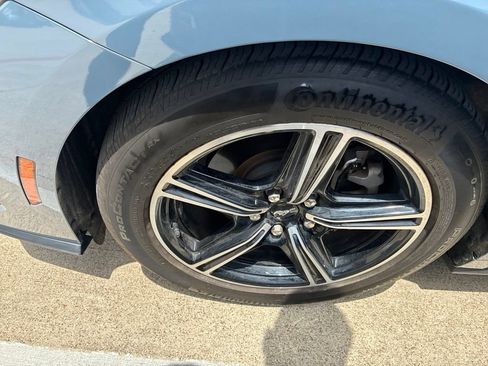 Used 2024 Ford Mustang Premium RWD image 5