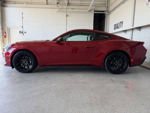 Used 2024 Ford Mustang Premium w/ Mustang Nite Pony Package RWD image 8