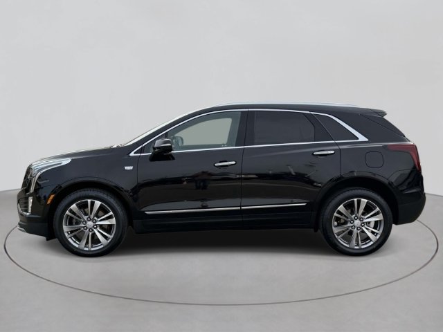 Certified 2024 Cadillac XT5 Premium Luxury AWD/4WD image 2