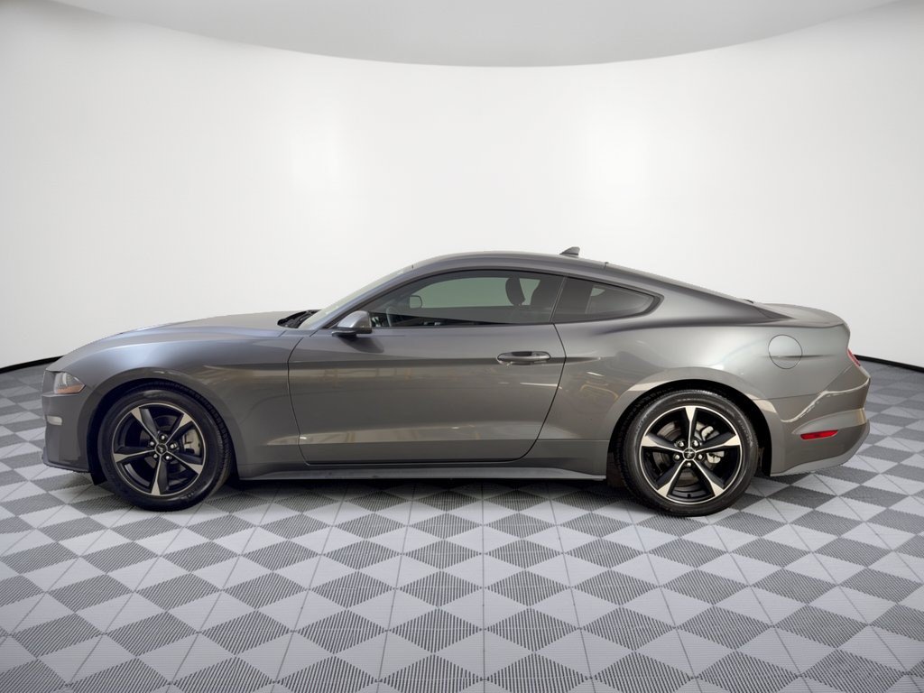 Used 2021 Ford Mustang Coupe RWD image 2