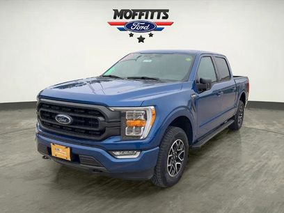 Certified 2023 Ford F150 XLT w/ Equipment Group 302A High