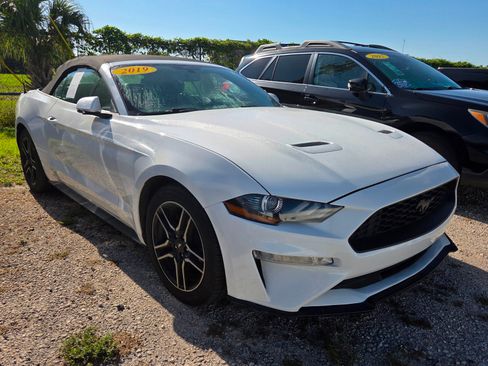 Used 2019 Ford Mustang Premium RWD image 3