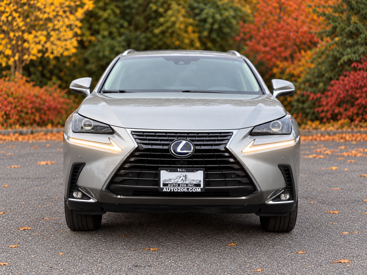 Used 2019 Lexus NX 300h AWD w/ Premium Package image 9