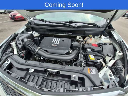 Used 2023 Cadillac XT5 Premium Luxury AWD/4WD image 14