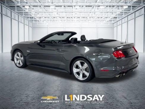 Used 2019 Ford Mustang GT Premium w/ Equipment Group 401A RWD image 7