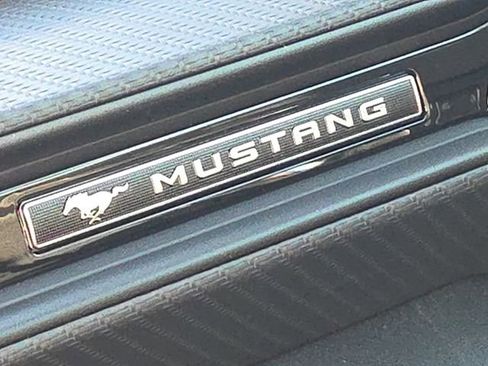 New 2026 Ford Mustang Coupe w/ Mustang Nite Pony Package RWD image 22