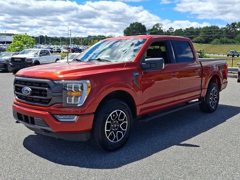 Certified 2023 Ford F150 XLT w/ Equipment Group 302A High AWD/4WD image 3