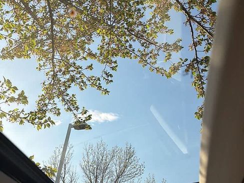 Used 2016 Honda Pilot Elite image 20