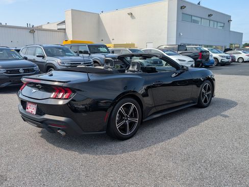 Used 2024 Ford Mustang Premium RWD image 3