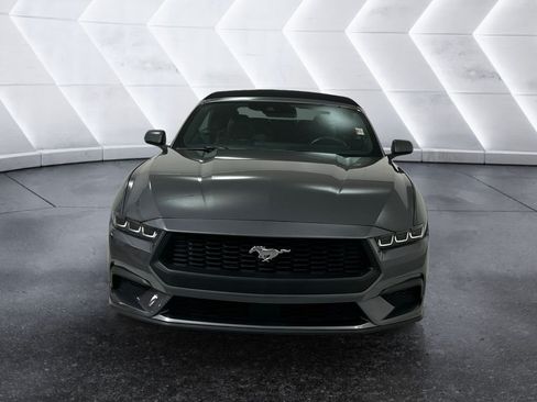 Used 2024 Ford Mustang Premium RWD image 2
