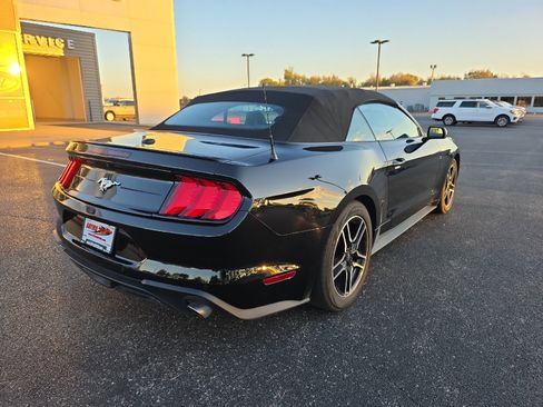 Used 2023 Ford Mustang Premium w/ Equipment Group 201A image 8