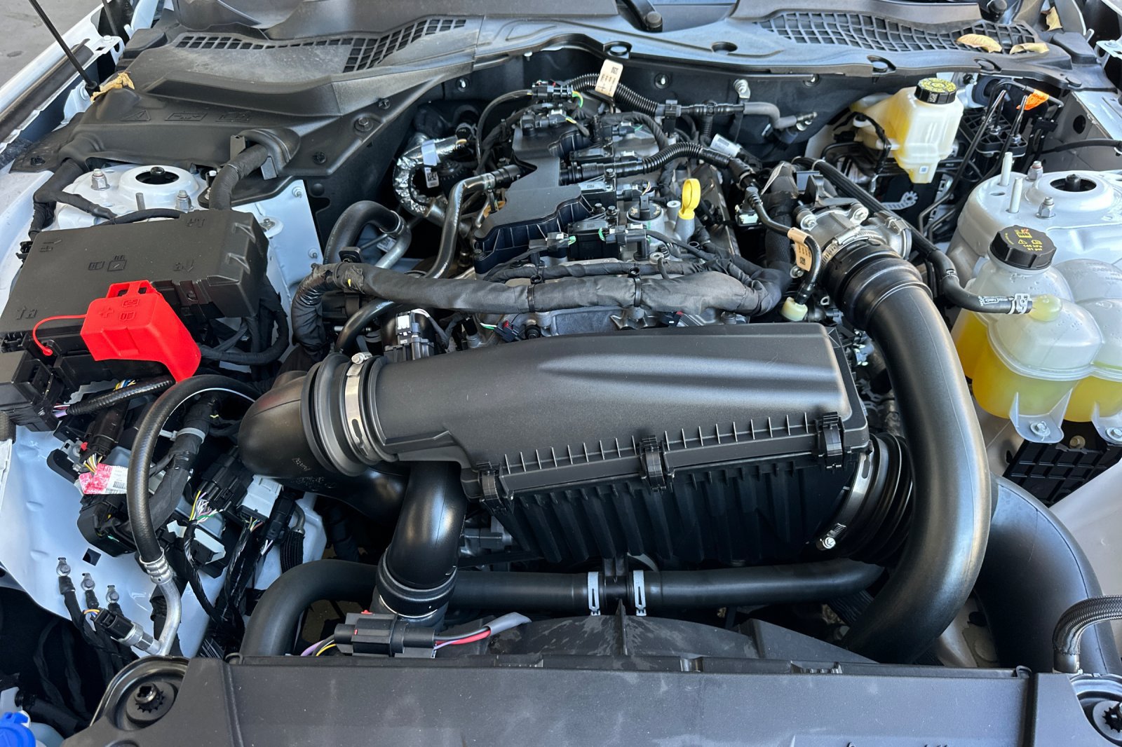 Used 2025 Ford Mustang Coupe RWD image 22