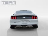 Used 2017 Ford Mustang Premium w/ Enhanced Security Package image 3