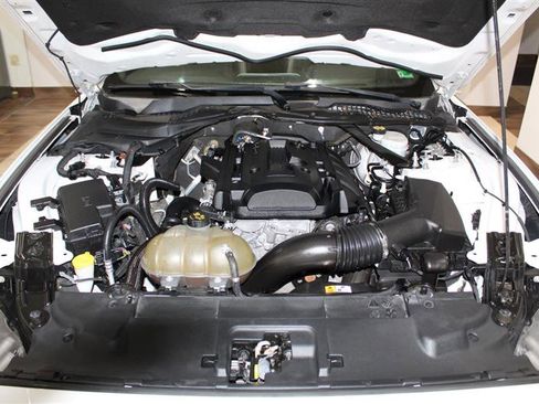 Used 2018 Ford Mustang Premium image 15