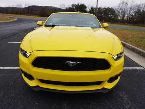Used 2015 Ford Mustang Convertible w/ Equipment Group 051A image 5