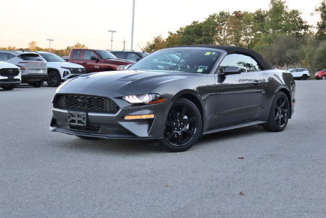 Used 2019 Ford Mustang Convertible w/ Equipment Group 101A RWD image 2