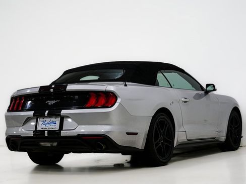 Used 2019 Ford Mustang Premium image 9