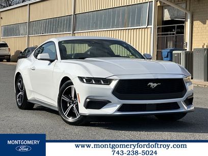 Used 2024 Ford Mustang Premium