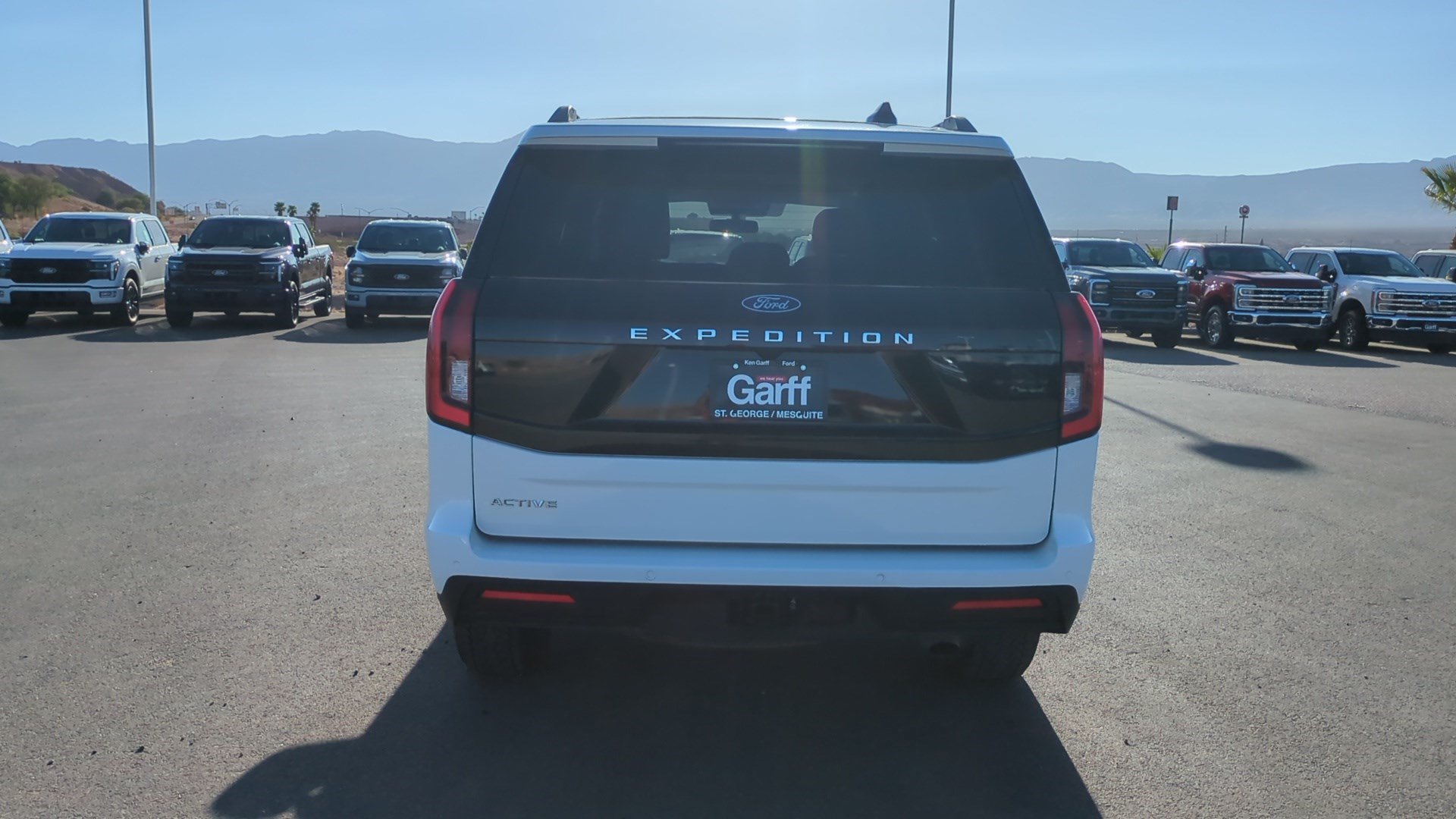 Used 2025 Ford Expedition Active AWD/4WD image 6