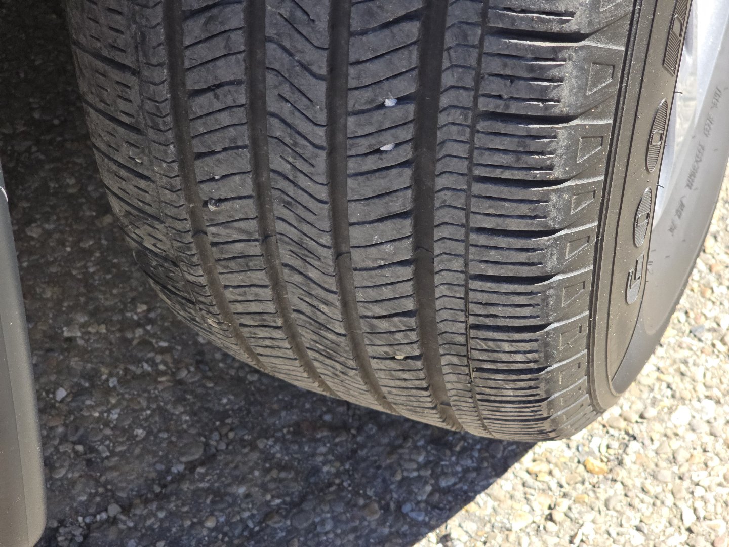 Used 2025 Honda Pilot EX-L image 11